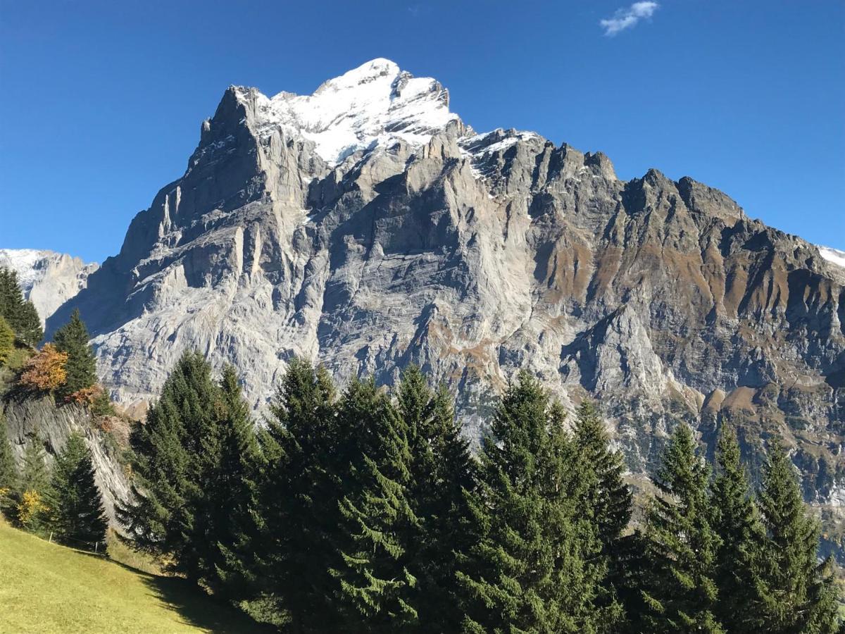Chalet Sunneblick Grindelwald Luaran gambar