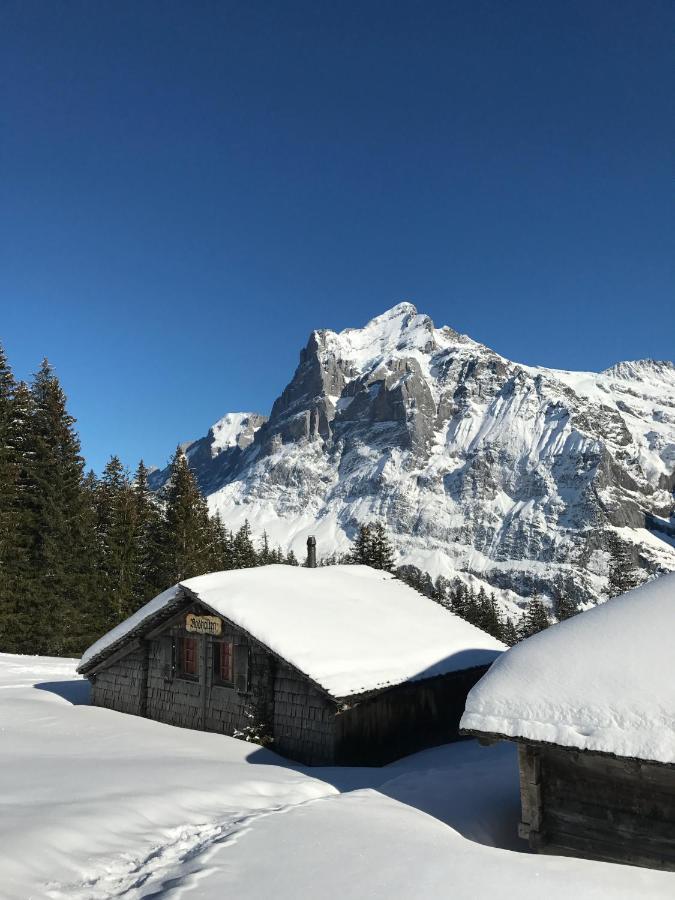 Chalet Sunneblick Grindelwald Luaran gambar