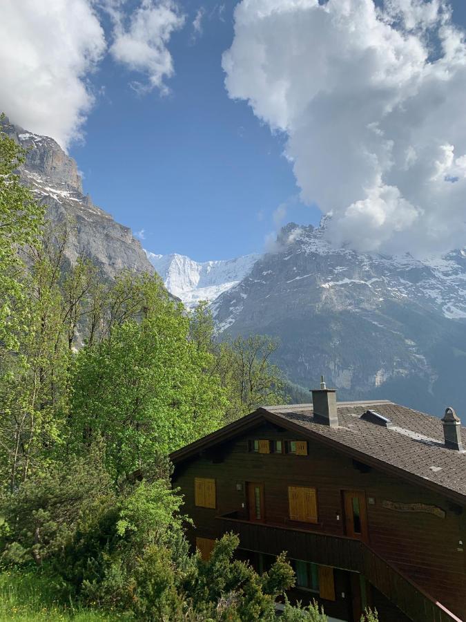 Chalet Sunneblick Grindelwald Luaran gambar